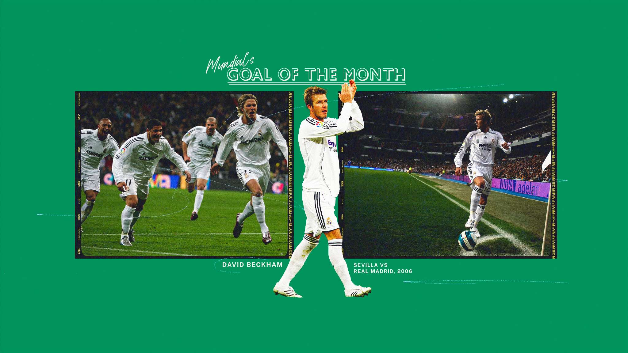 中可以期待 中可以期待