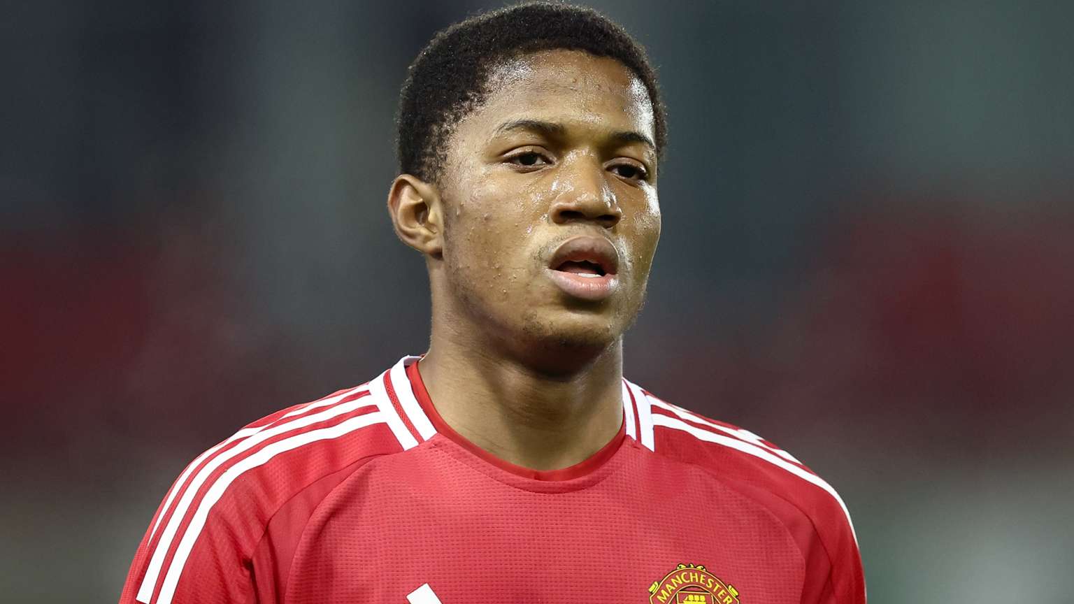 的广泛关注 的广泛关注